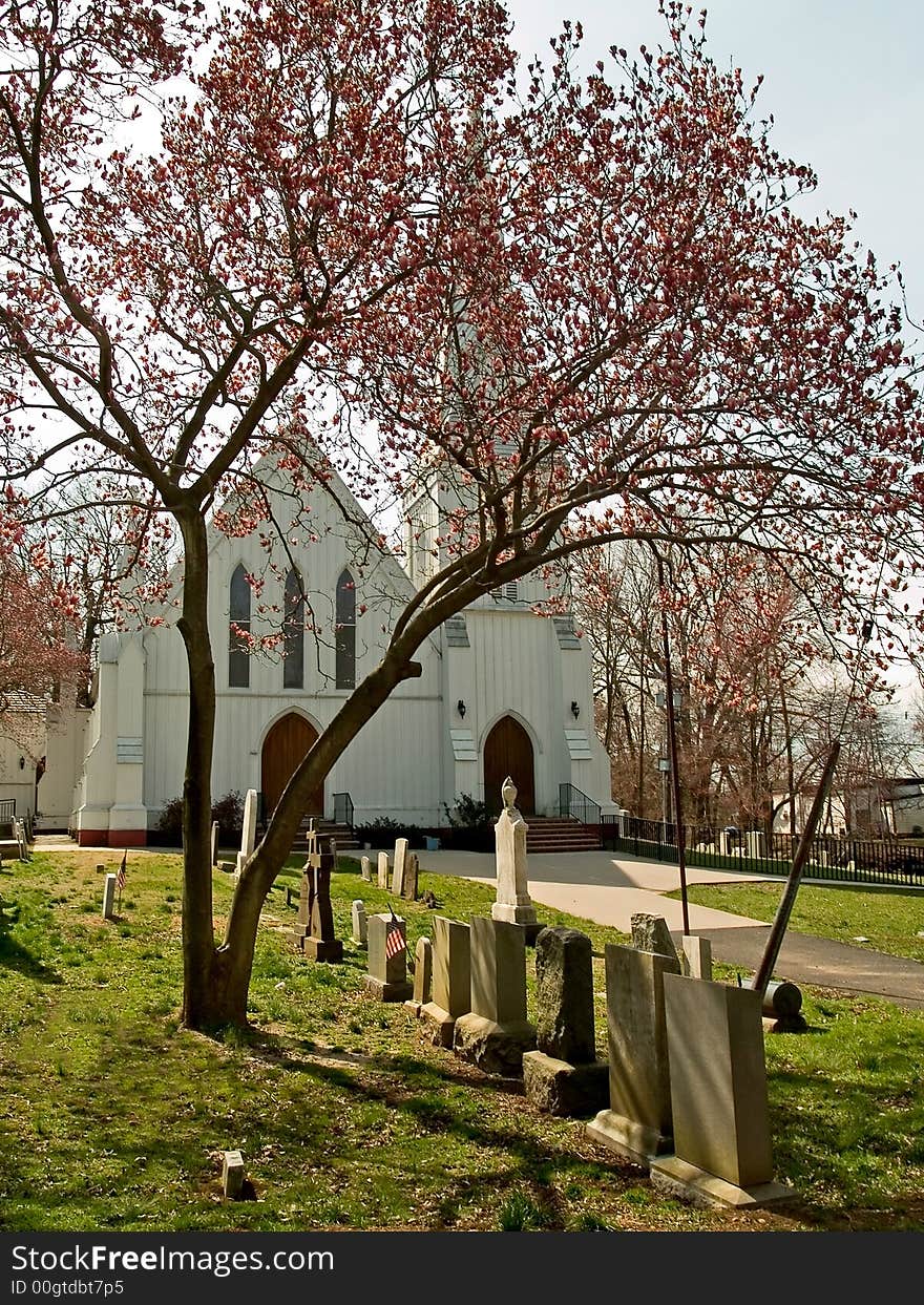 An old white church in New Jersey framed by graves and a blooming magnolia tree. An old white church in New Jersey framed by graves and a blooming magnolia tree.