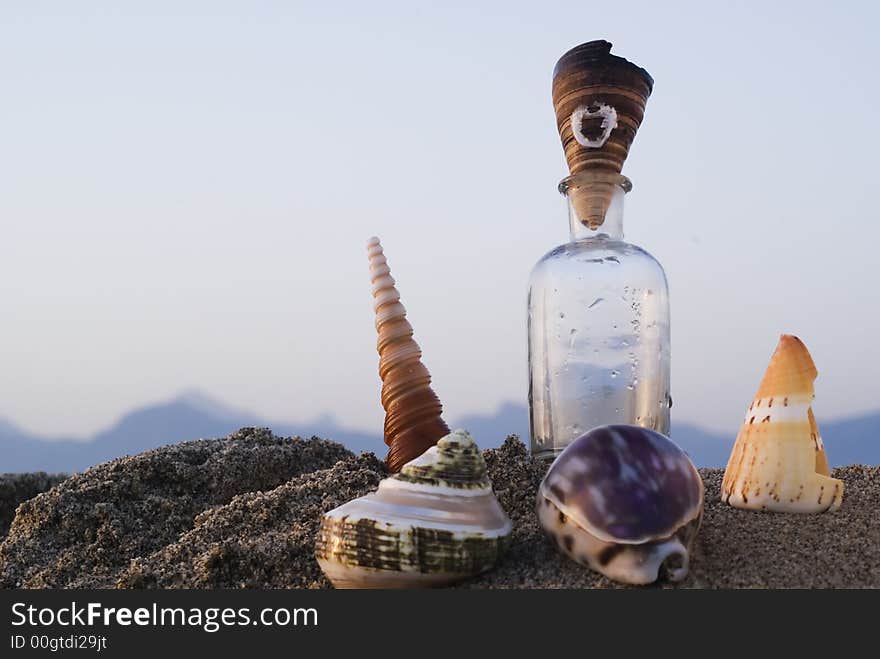 Summer composition with a glass bottle and beautiful shell at sunset. Summer composition with a glass bottle and beautiful shell at sunset