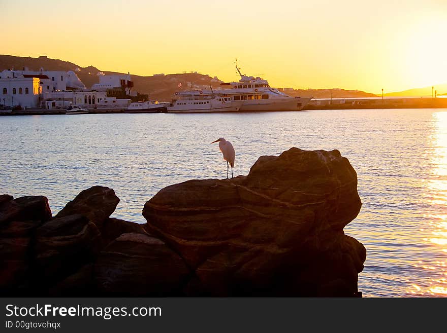 Harbor view of a egret standing on a rock formation with the setting sun. Harbor view of a egret standing on a rock formation with the setting sun