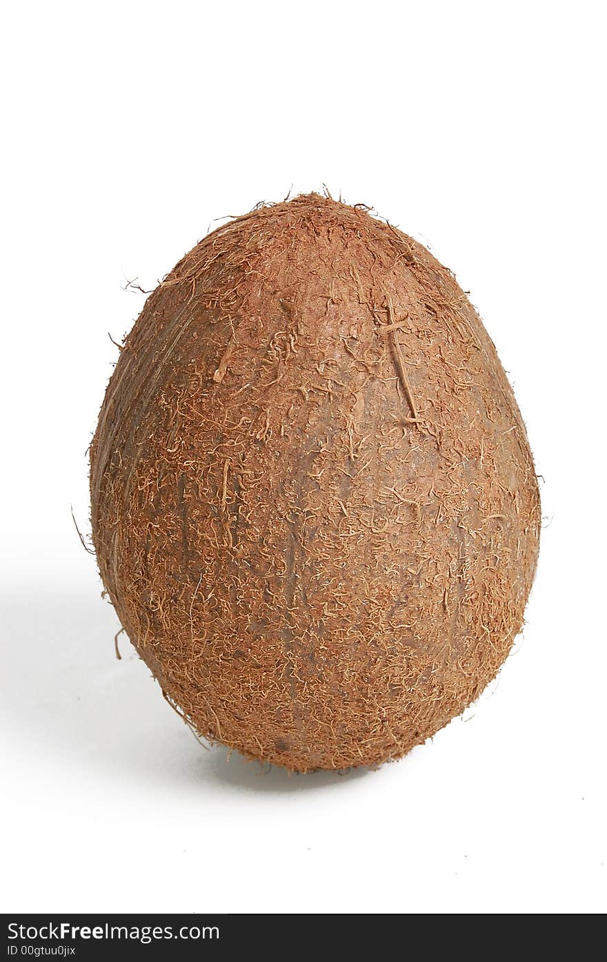 Coconut fruit isolated