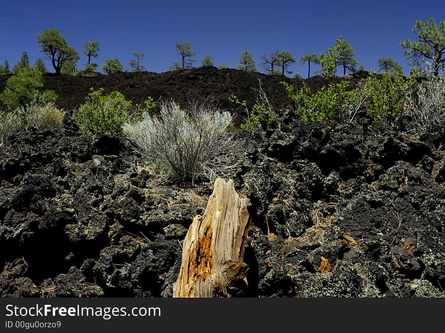 Black lava field at Sunset Crater Volcano against a blue Arizona sky. Black lava field at Sunset Crater Volcano against a blue Arizona sky