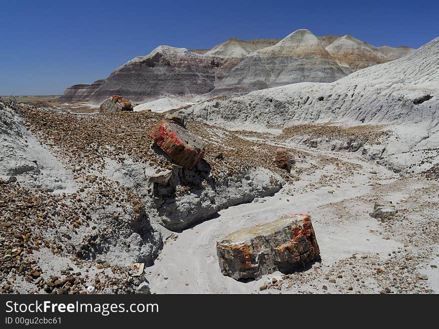 Petrified wood in the blue mesa against a blue Arizona sky in the Petrified Forest National Park