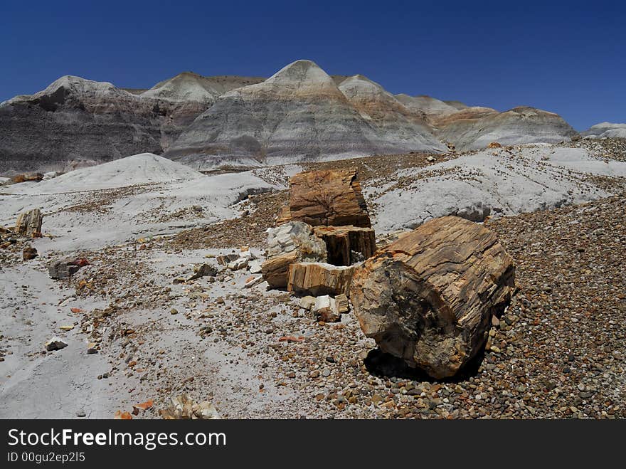 Petrified Forest National Park