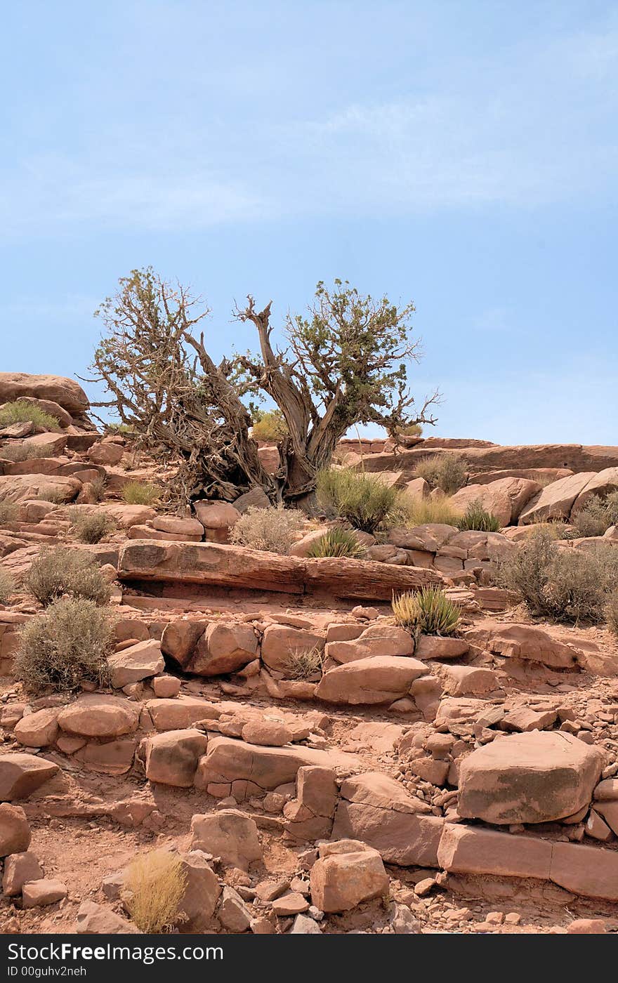 Stones of the Grand Canyon