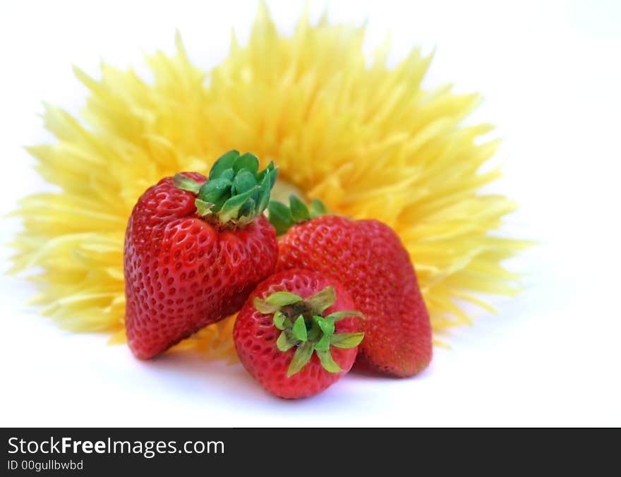 Fresh strawberries and a sunflower against white background. Fresh strawberries and a sunflower against white background.