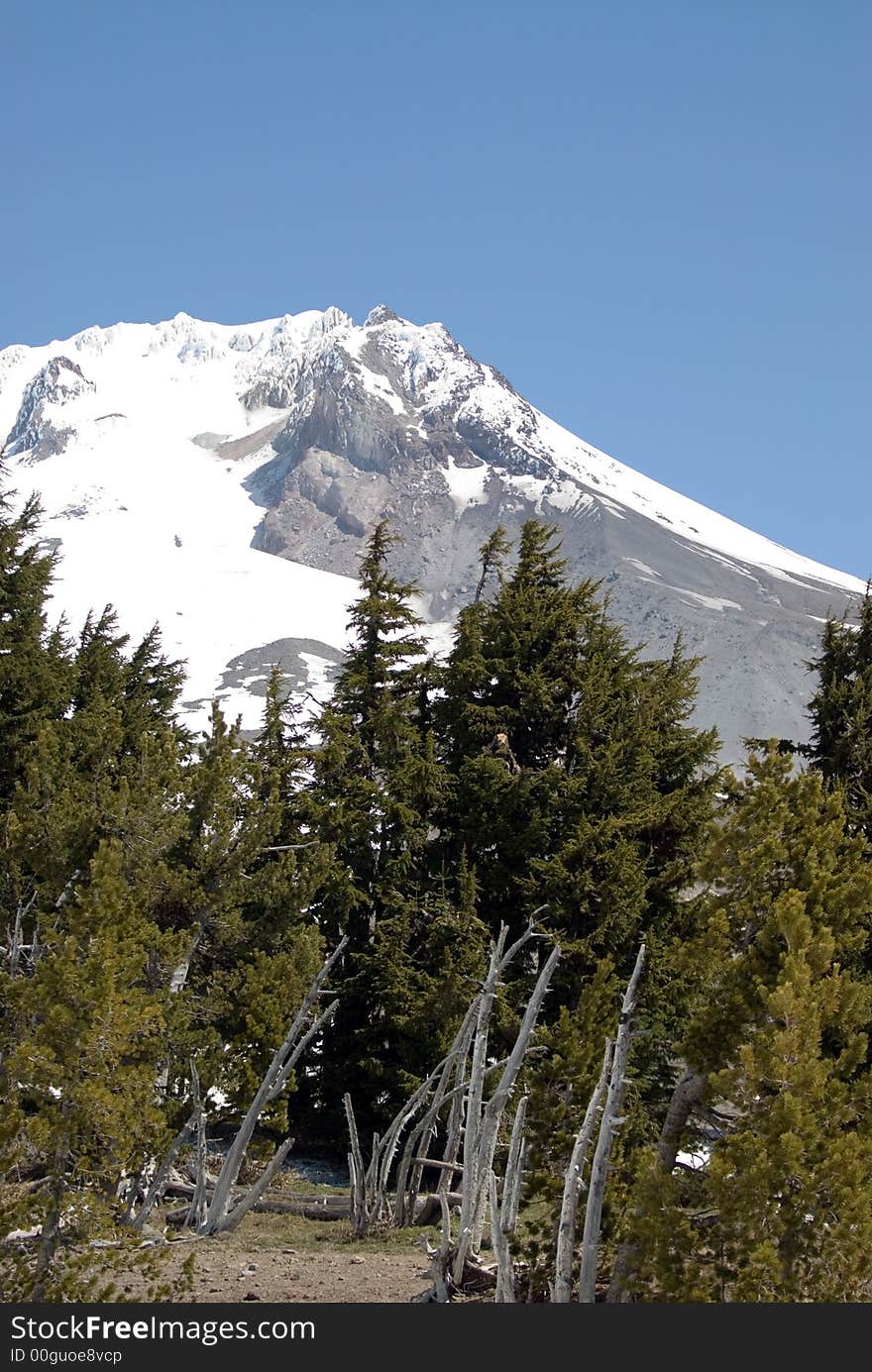 Scenic images of Mt. Hood in Oregon, USA