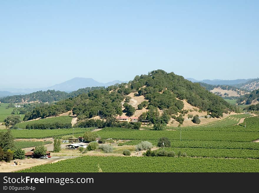 View of Napa Valley wine district. View of Napa Valley wine district