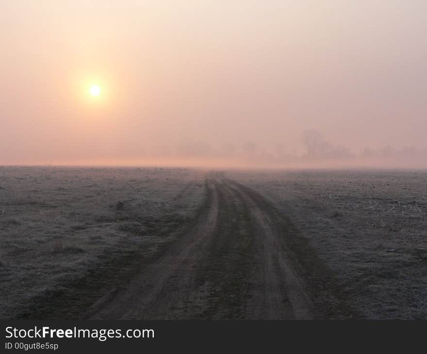 Sun rise in the field. Sun rise in the field