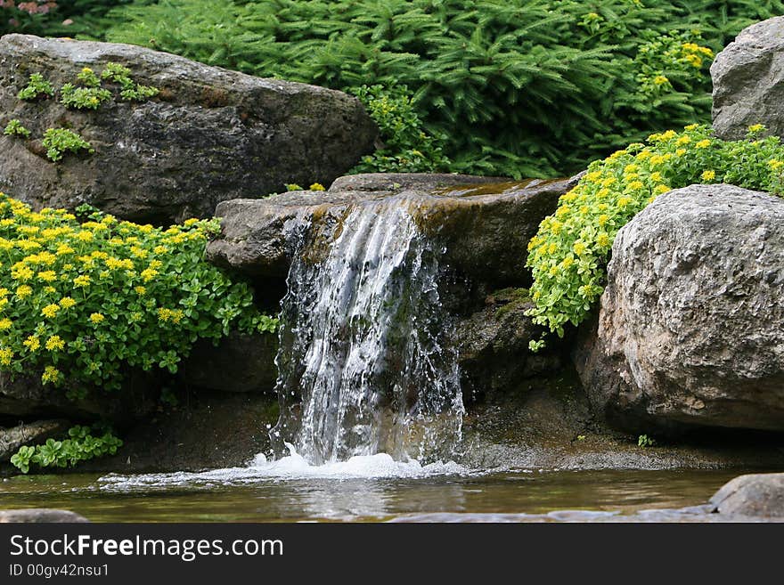 Waterfall surounded by yellow flowers