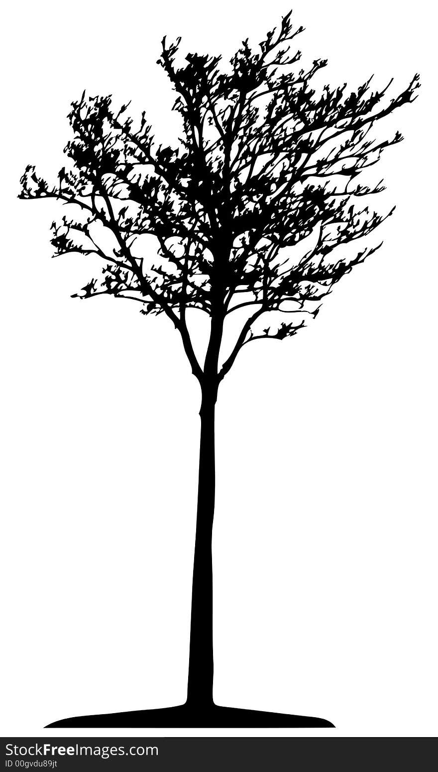 Trees - This image is a vector illustration and can be scaled to any size. Trees - This image is a vector illustration and can be scaled to any size