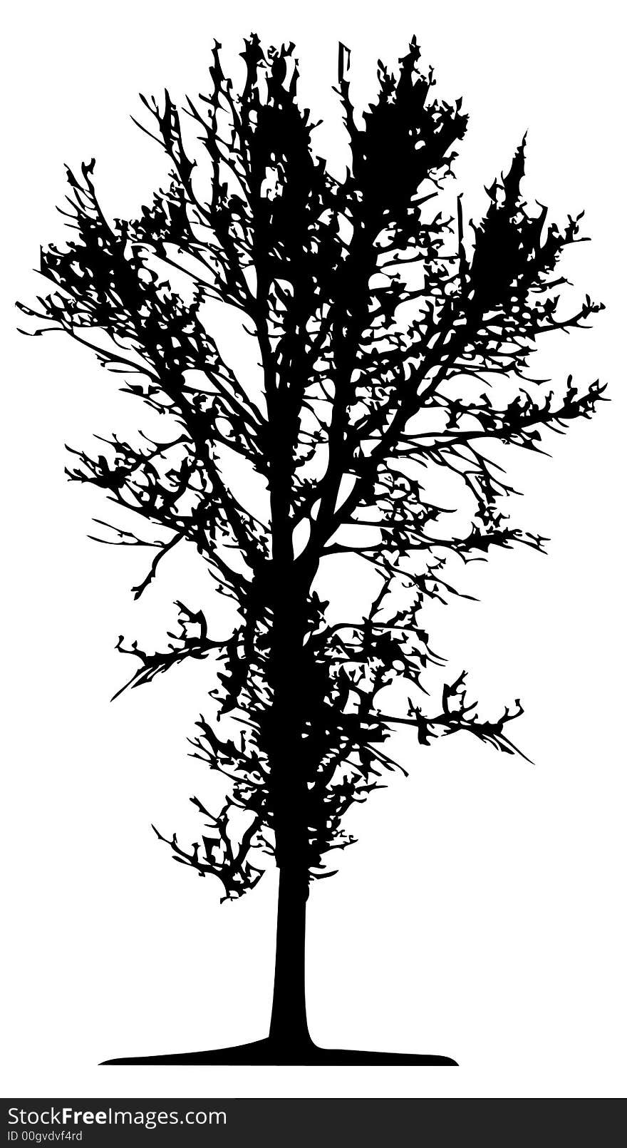 Trees - This image is a vector illustration and can be scaled to any size. Trees - This image is a vector illustration and can be scaled to any size