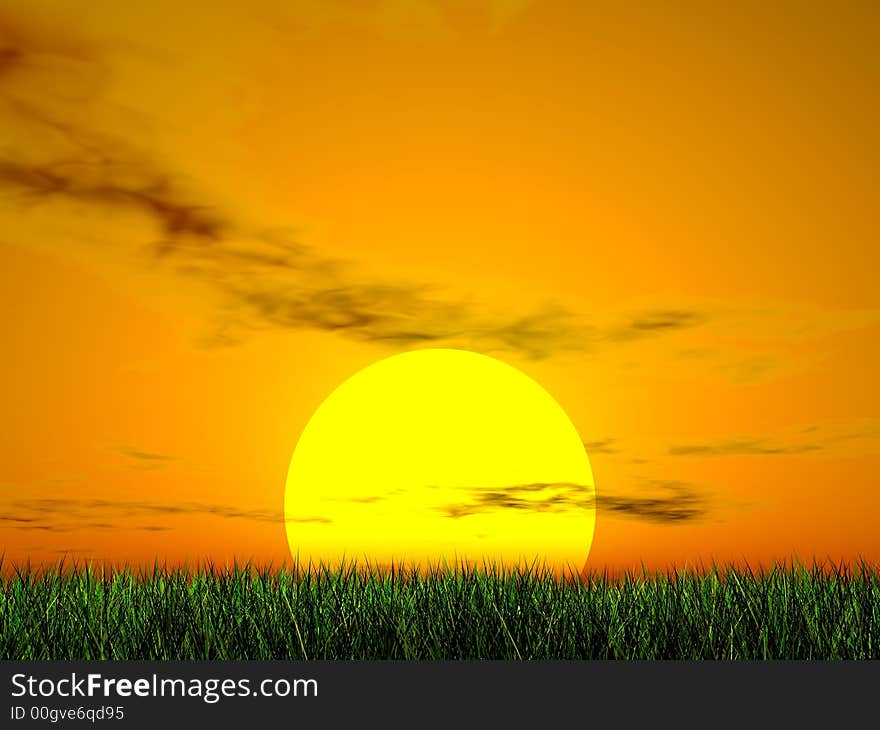 Green grass on sunset background. Green grass on sunset background