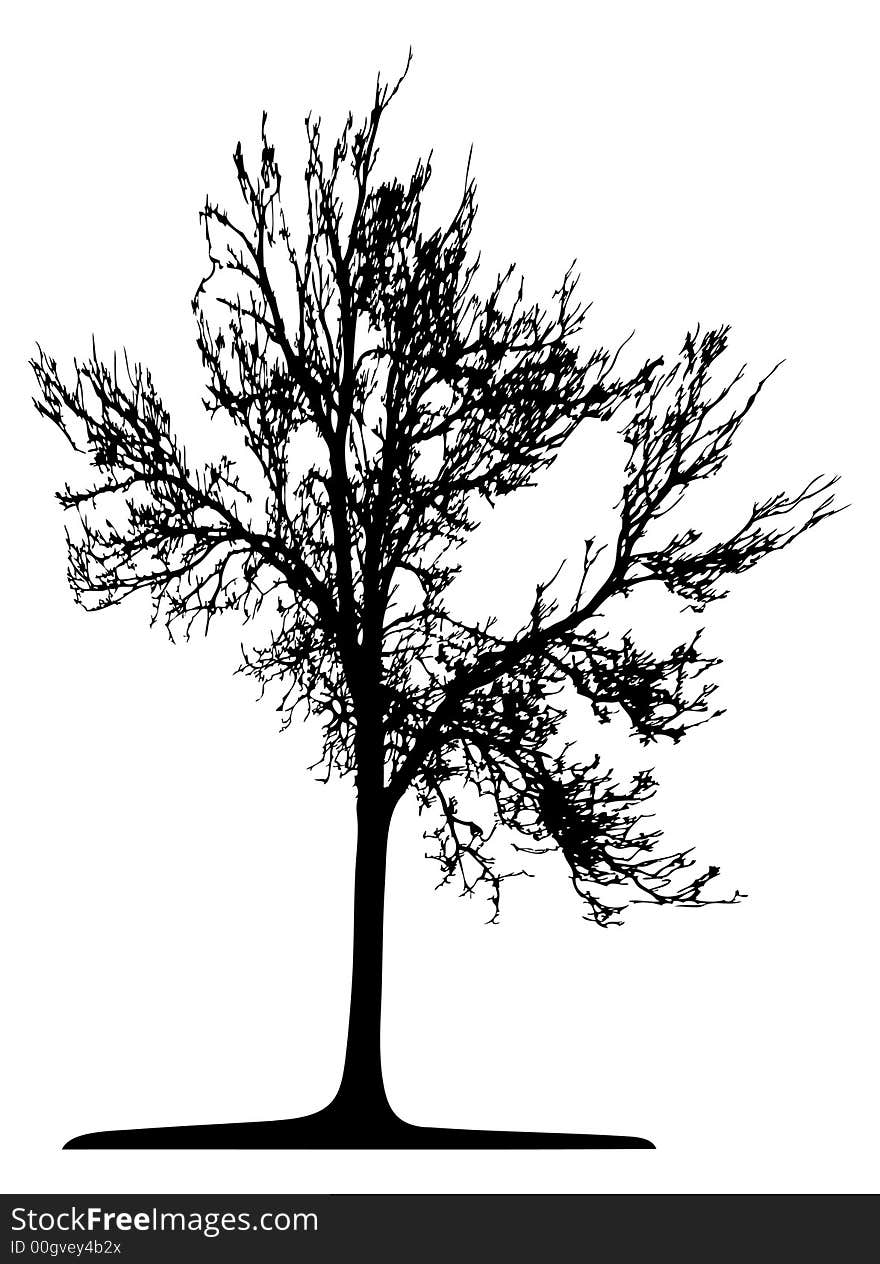 Trees - This image is a vector illustration and can be scaled to any size. Trees - This image is a vector illustration and can be scaled to any size