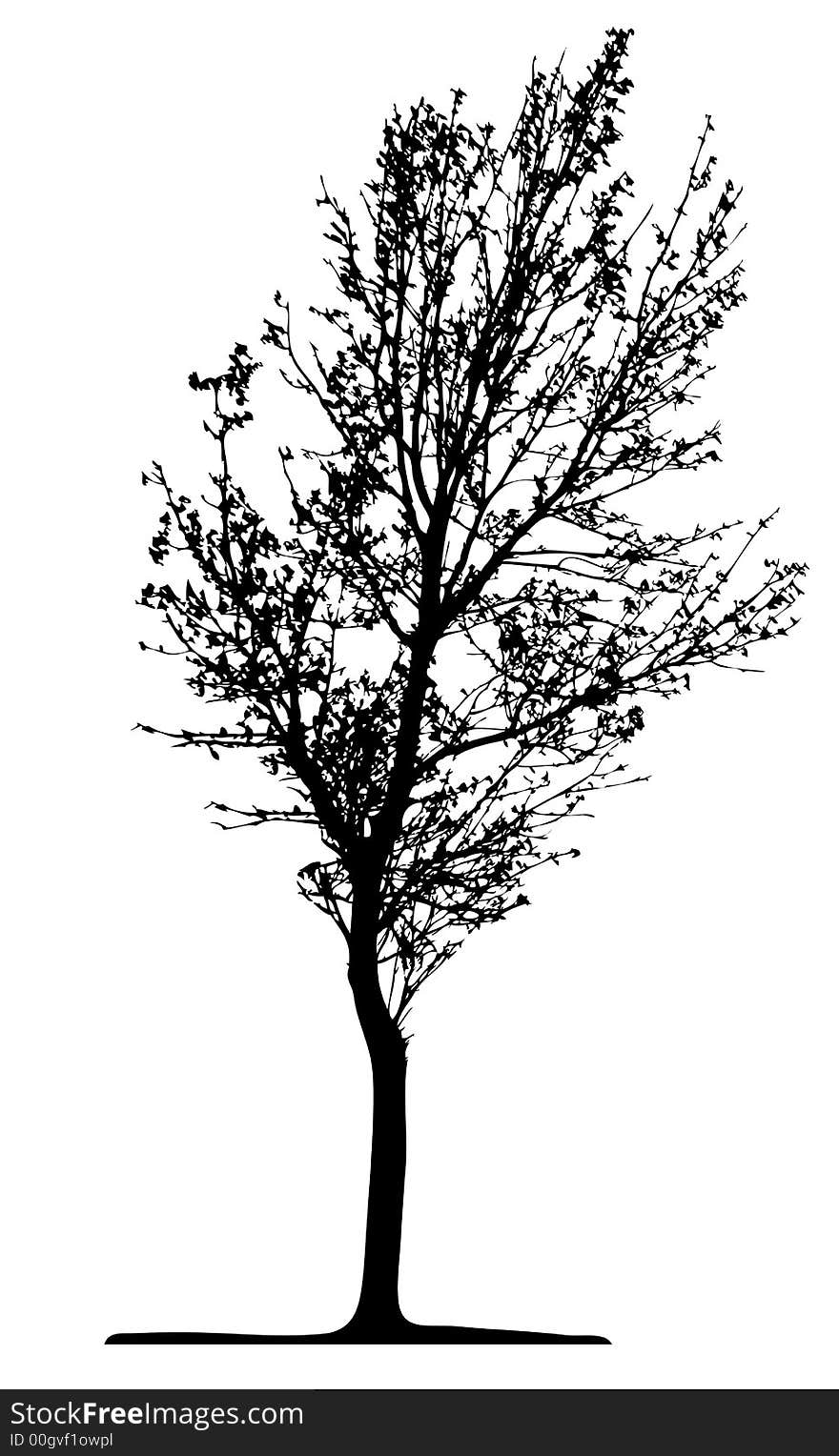 Tree (vector)