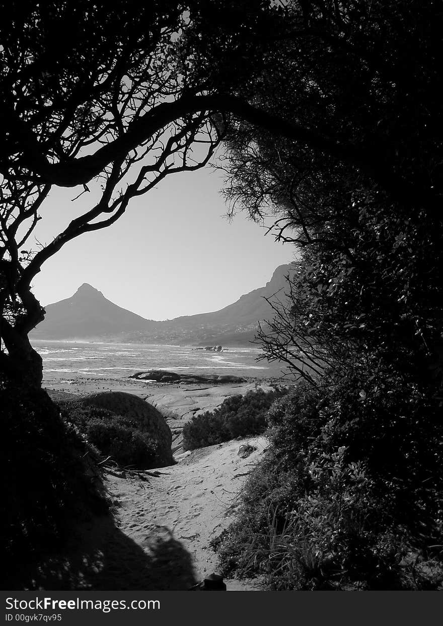 A view of Lion's Head, Cape Town. A view of Lion's Head, Cape Town