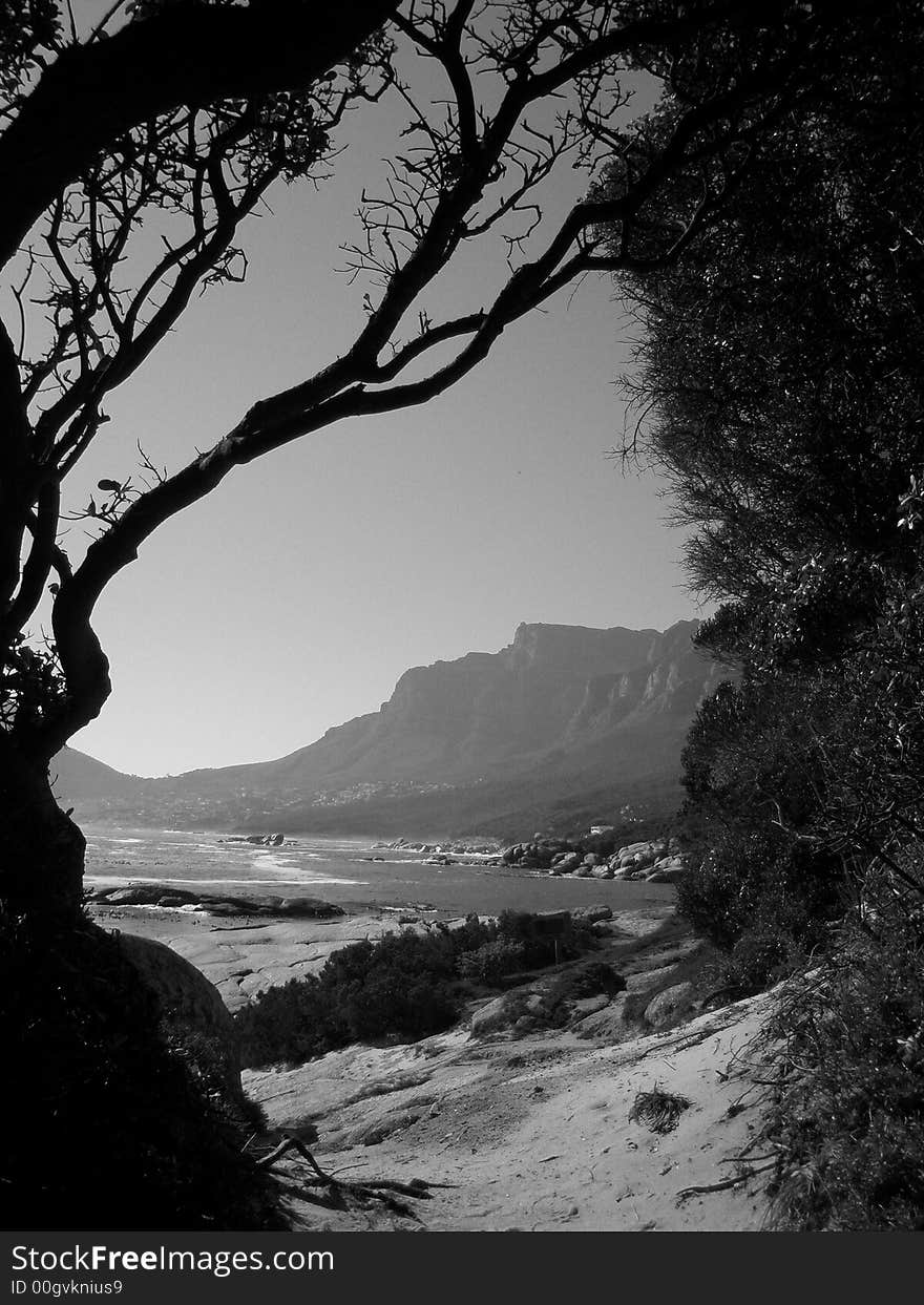 A view of Table Mountain, Cape Town - Looking towards Camps Bay