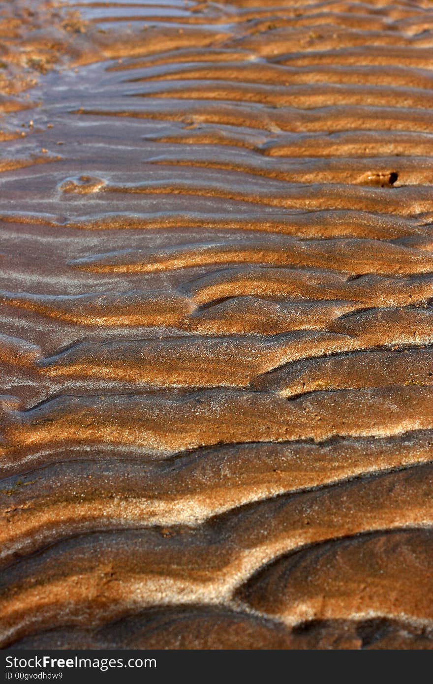 Sea sand coast after outflow. Sea sand coast after outflow