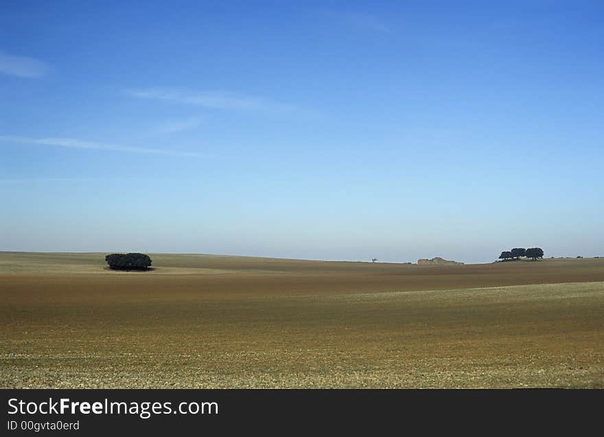 Plain of Albacete in Castilla la mancha province, Spain. Plain of Albacete in Castilla la mancha province, Spain