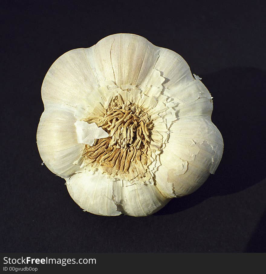 Close up of a garlic bulb. Close up of a garlic bulb