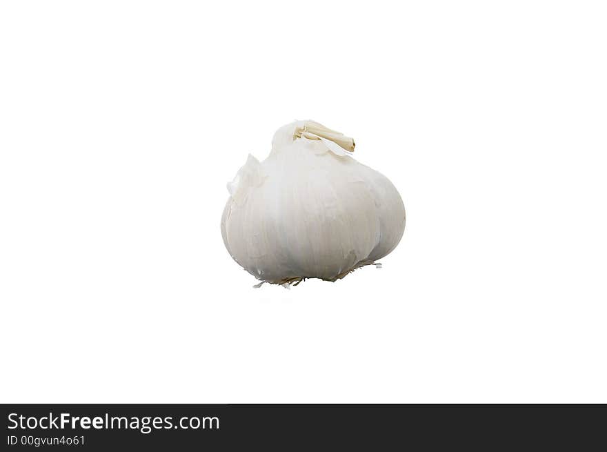 Garlic