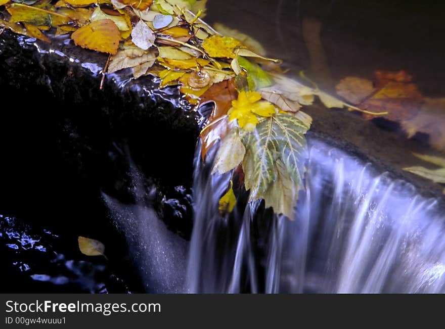 Small autumn waterfall with leaves flowing over the bank