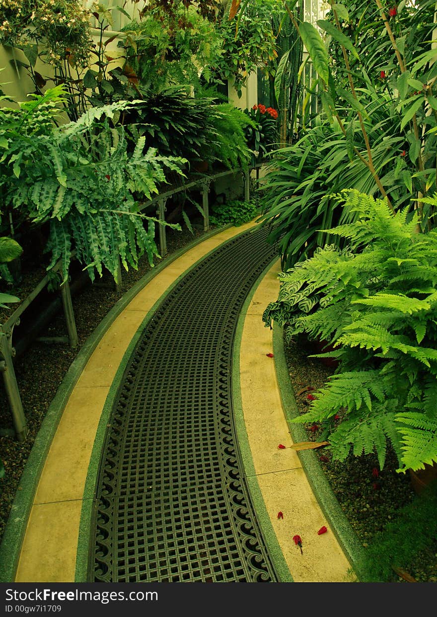 Interior of victorian hot house with greenery and antique floor. Interior of victorian hot house with greenery and antique floor