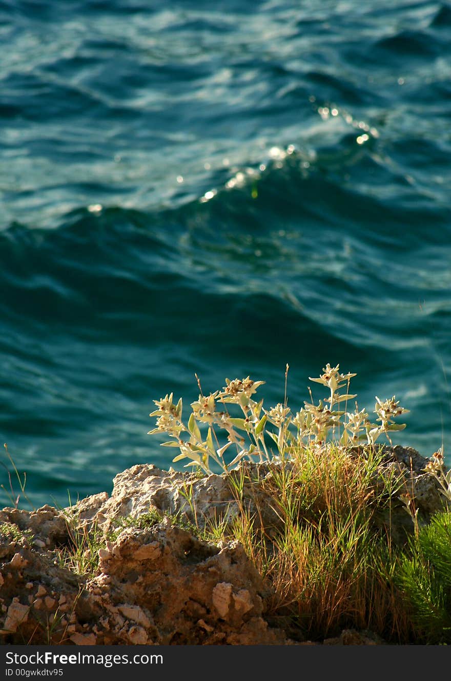 Seawaves and floers at a bay. Seawaves and floers at a bay