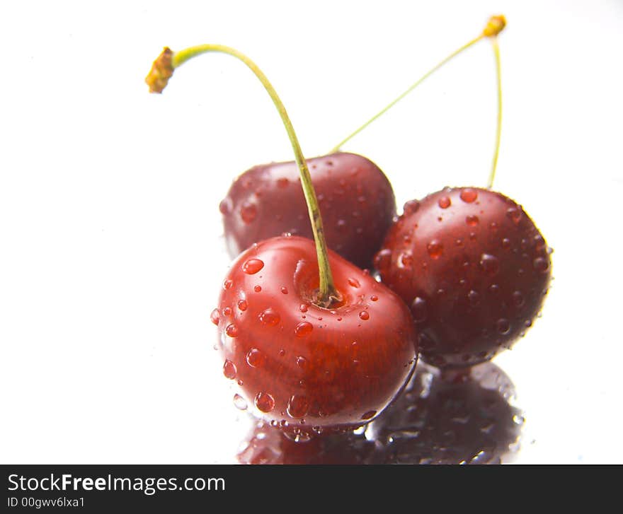 Wet cherries isolated over white background