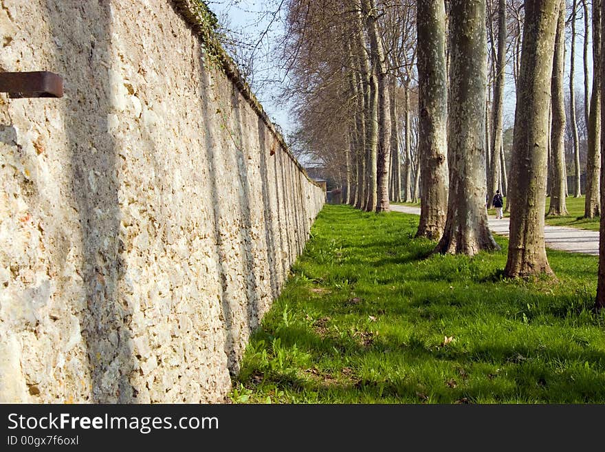 Wall along a tree-lined path in the gardens of Versailles, France