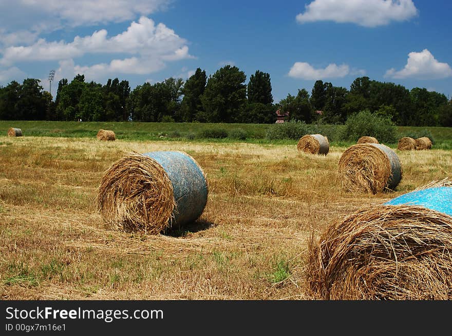 Hay bales