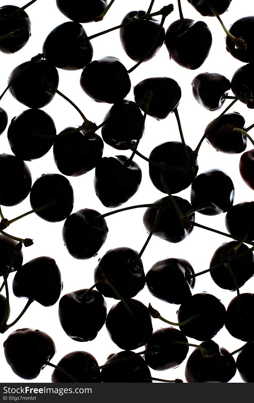 A silhouette of cherry background