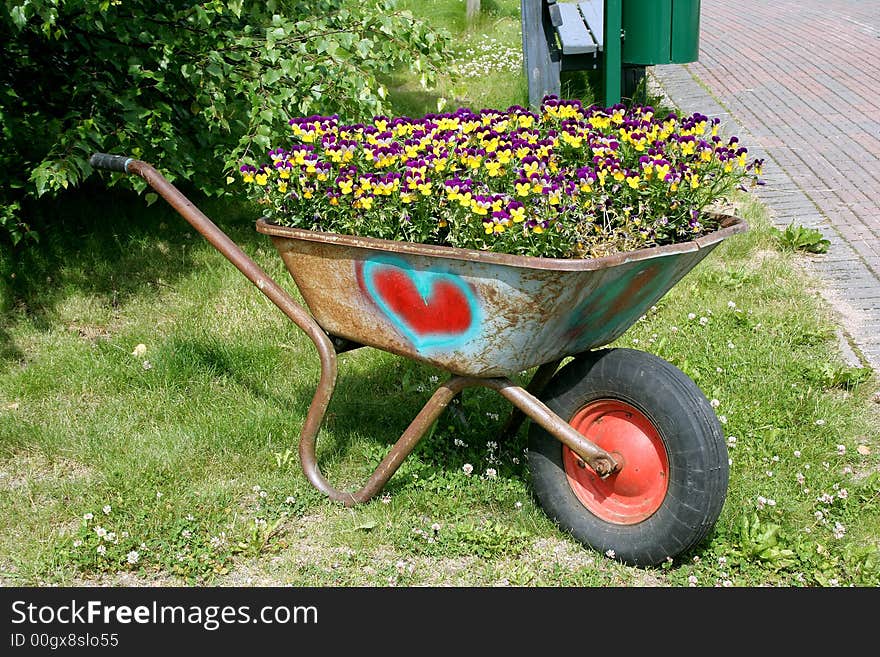 Wheelbarrow full of pansies, decorative flower bed. Wheelbarrow full of pansies, decorative flower bed.