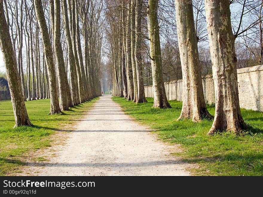 Path lined with trees on the grounds at the Palace of Versailles, France. Path lined with trees on the grounds at the Palace of Versailles, France