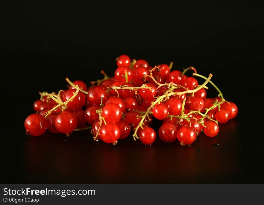 Yummy red currant over black