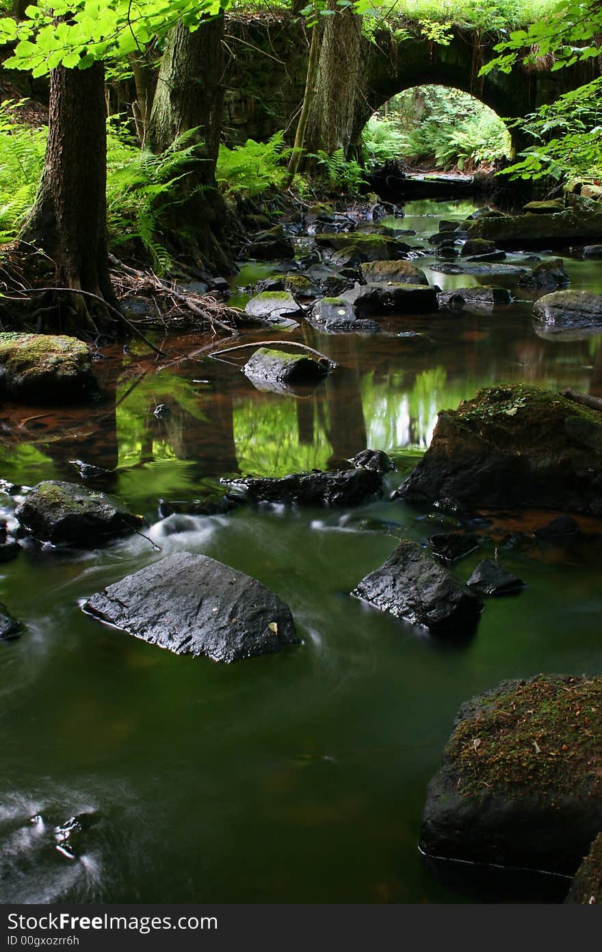 Wild brook under the old bridge. Wild brook under the old bridge