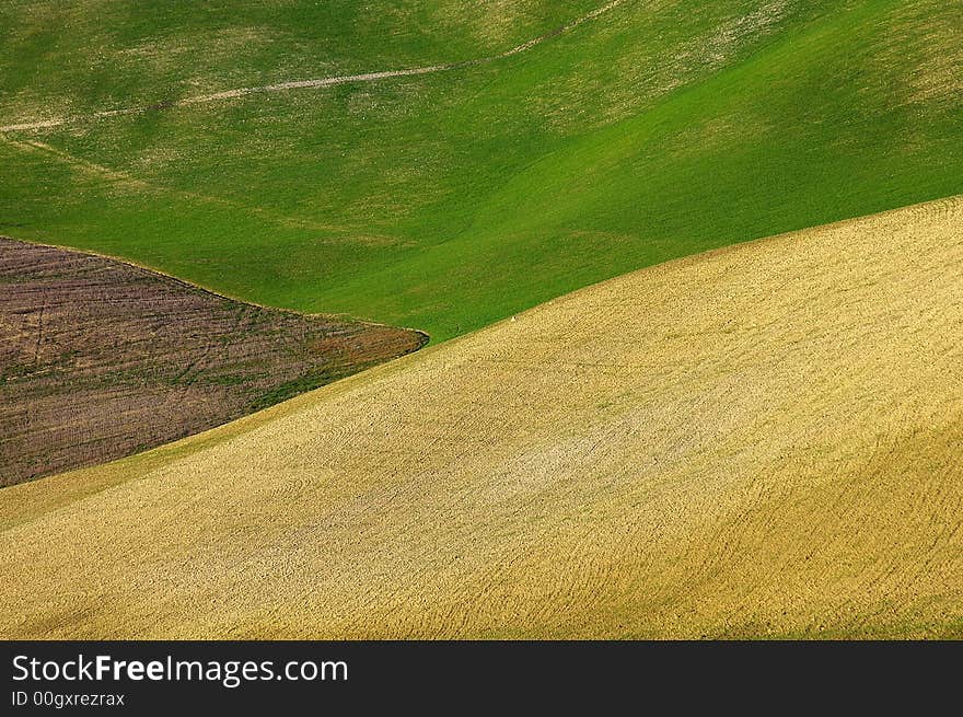 Landscape,Tuscany Val D Orcia