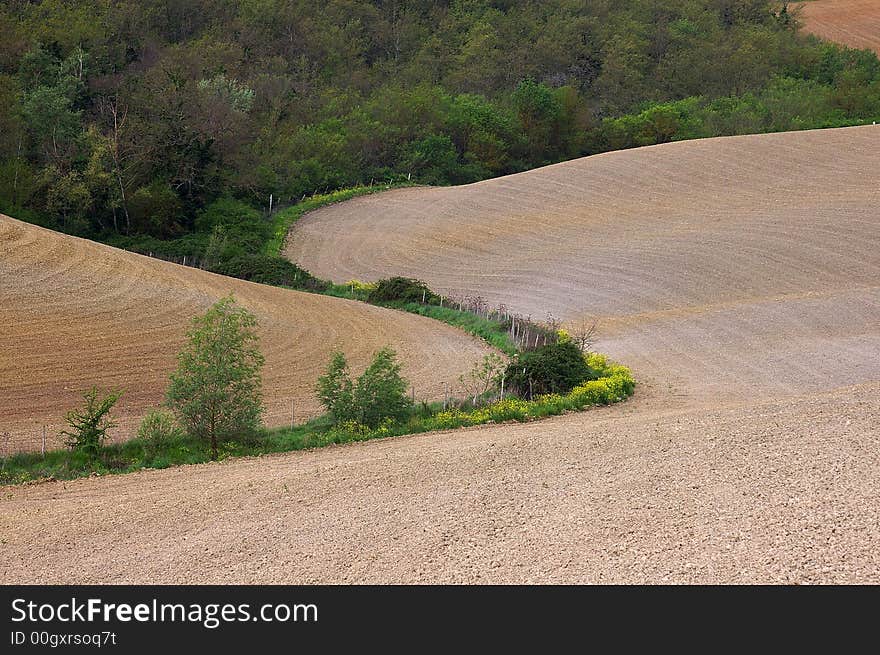 Val d'Orcia, landscape near the Via Cassia (Siena, Tuscany, Italy). Val d'Orcia, landscape near the Via Cassia (Siena, Tuscany, Italy)