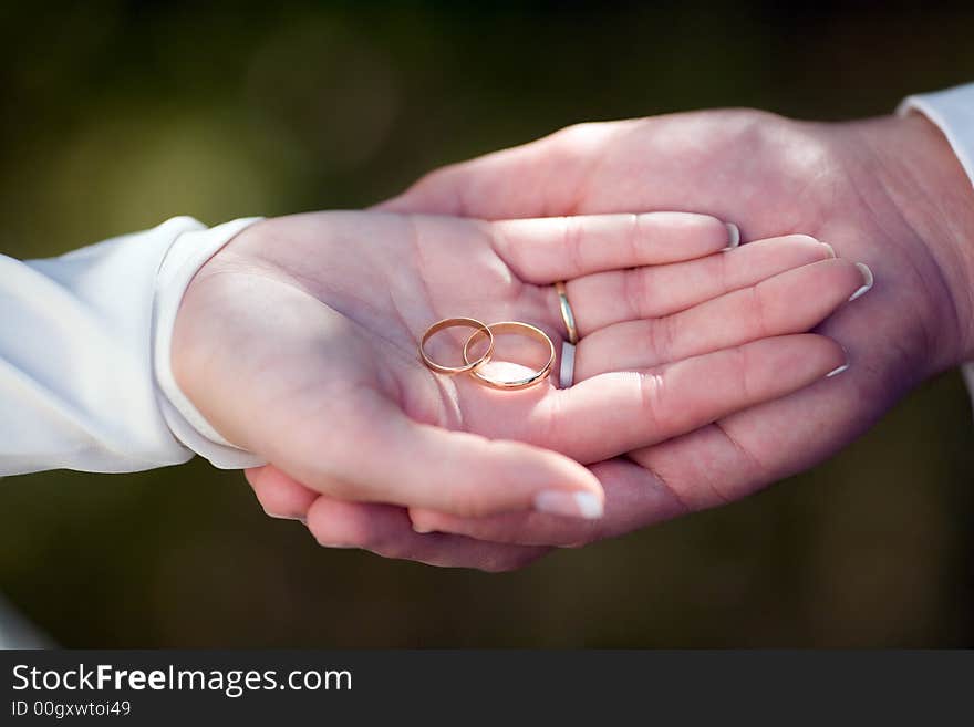 Bride and Groom's hand, showing their rings. Close-Up. Bride and Groom's hand, showing their rings. Close-Up.