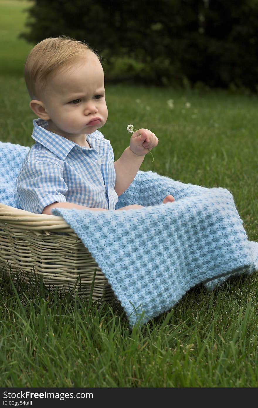 Image of beautiful toddler sitting in a basket in the grass, holding a flower. Image of beautiful toddler sitting in a basket in the grass, holding a flower