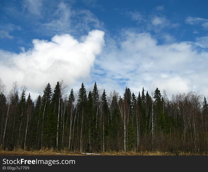 Sky on wood