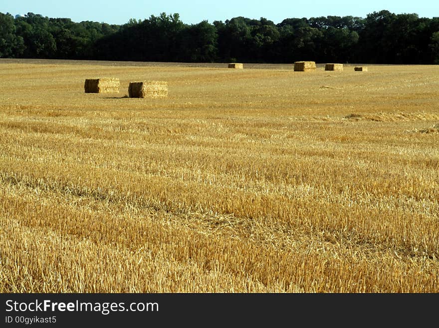 Bales of Straw