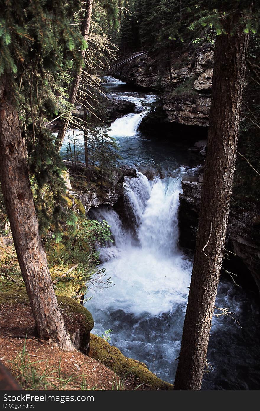 Falls in wooded canyon