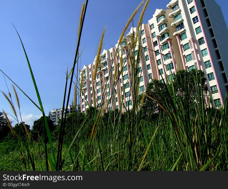 Modern building and grass