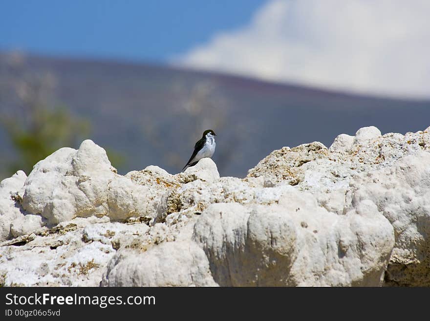 Tufa Formations At Mono Lake