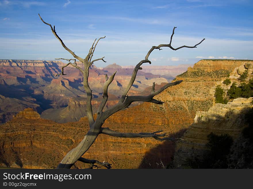 Grand Canyon in Arizone / USA