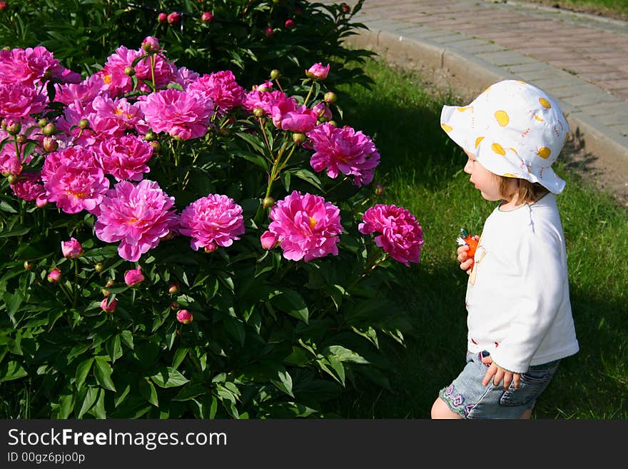 Small pretty girl  and beauty red flowers. Small pretty girl  and beauty red flowers