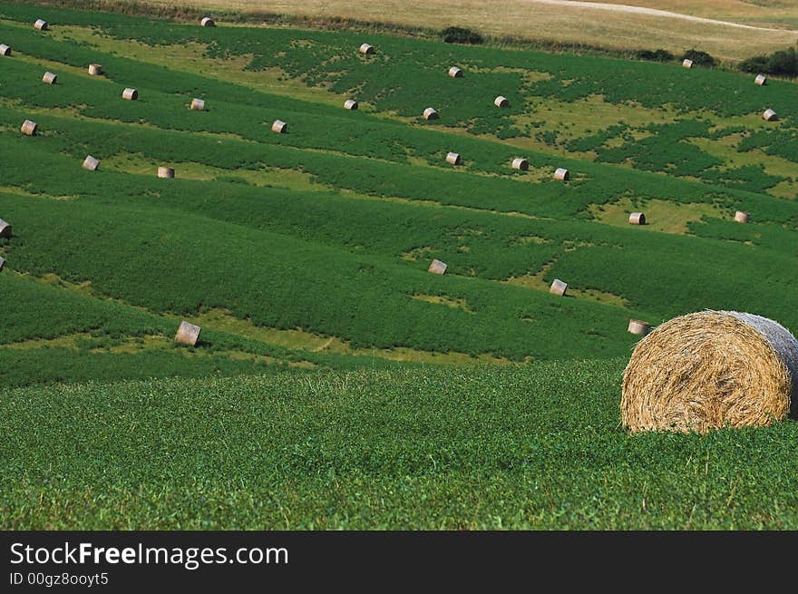 Landscape hay balls 5