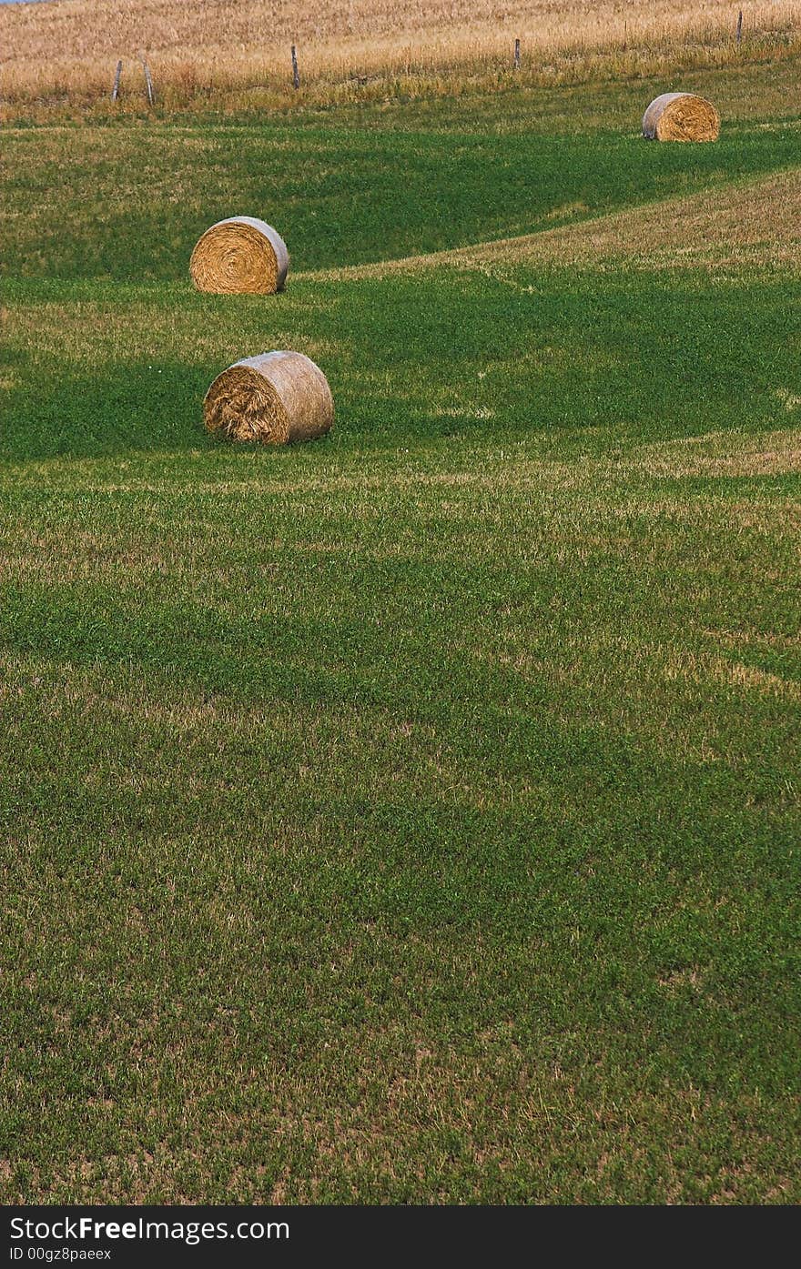 Landscape hay balls 4