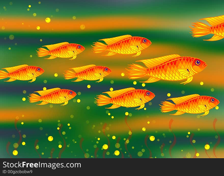 Bold and colorful fish in green background