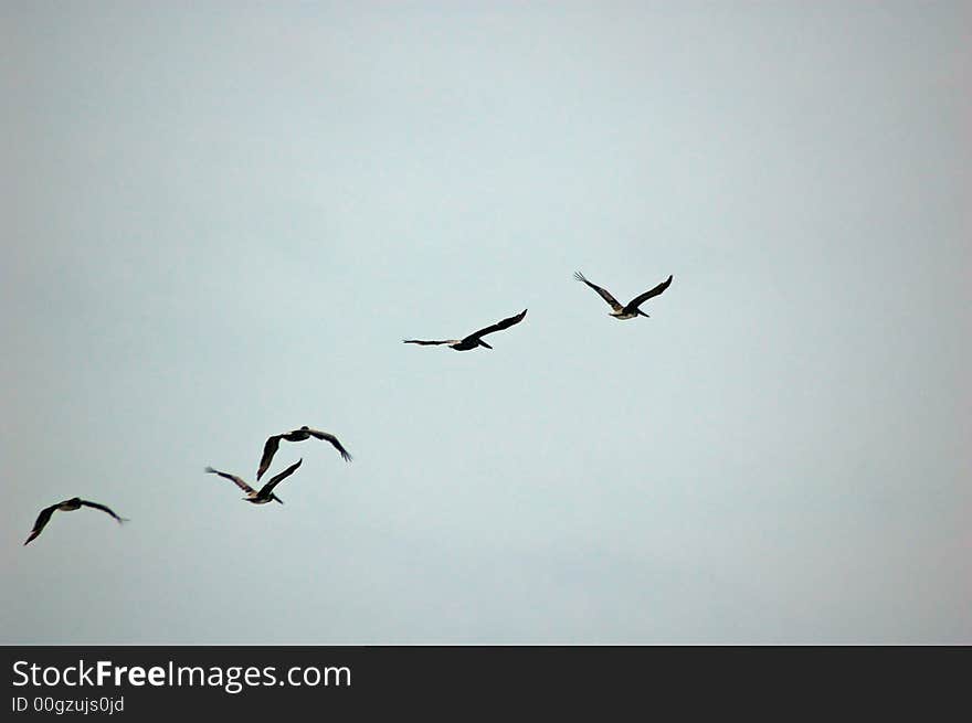 Taken on Tybee Island in GA. Taken on Tybee Island in GA.